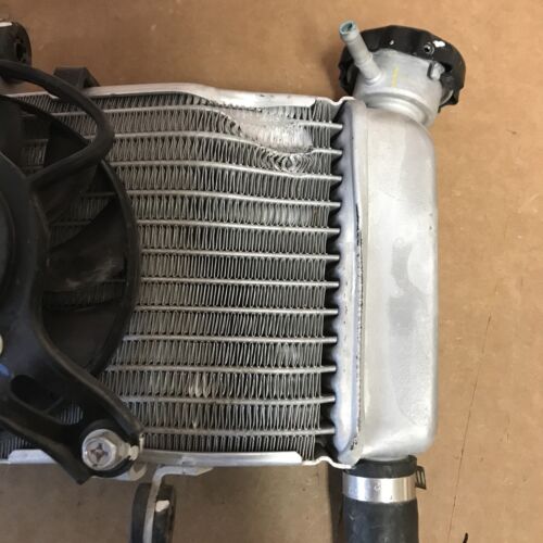 2015-2022 (2021) Honda CBR300R Radiator Cooling Fan OEM